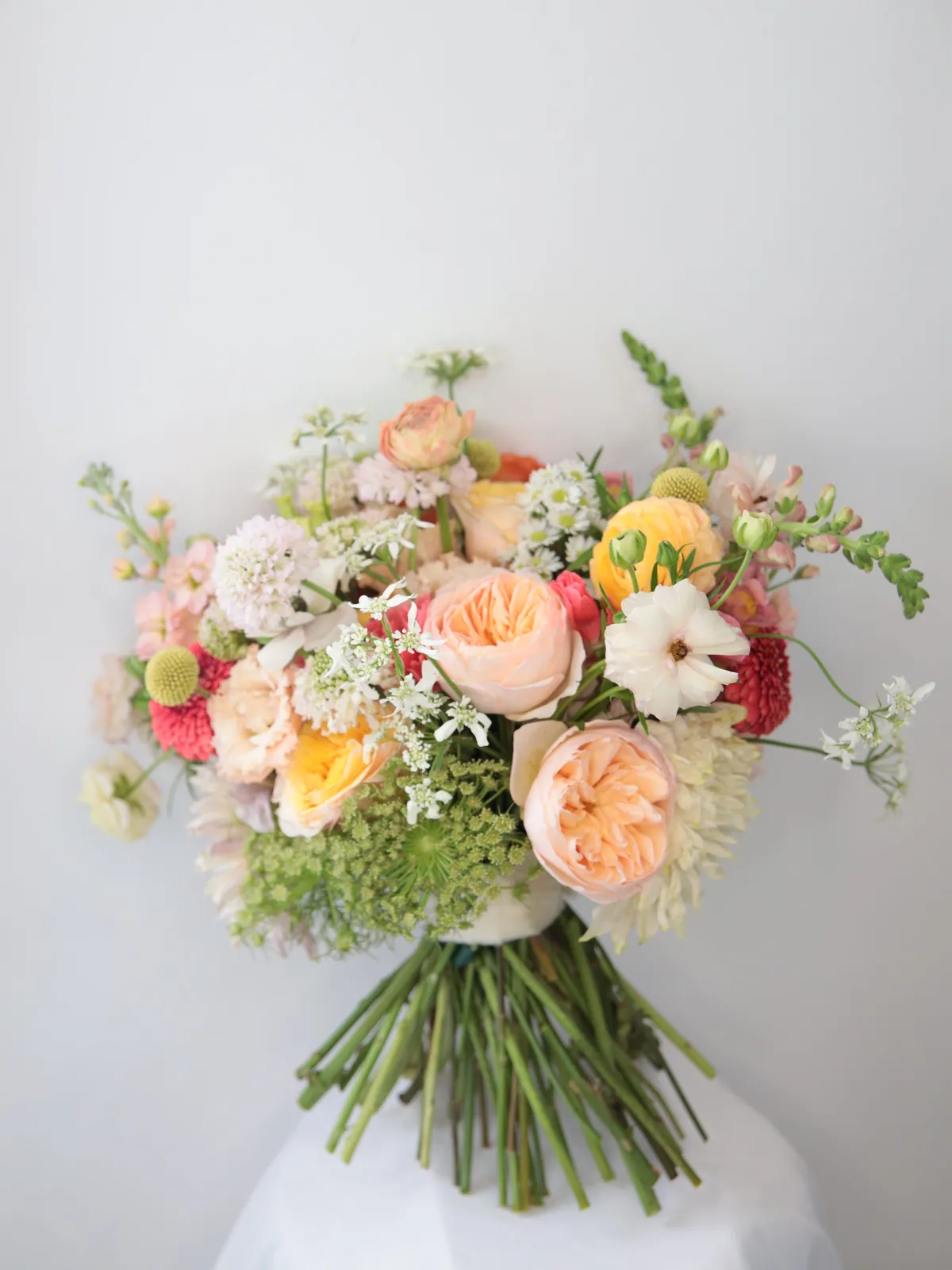 Loose arrangement of peach garden roses, scabiosa, craspedia and Queen Anne's lace standing on a draped white plinth
